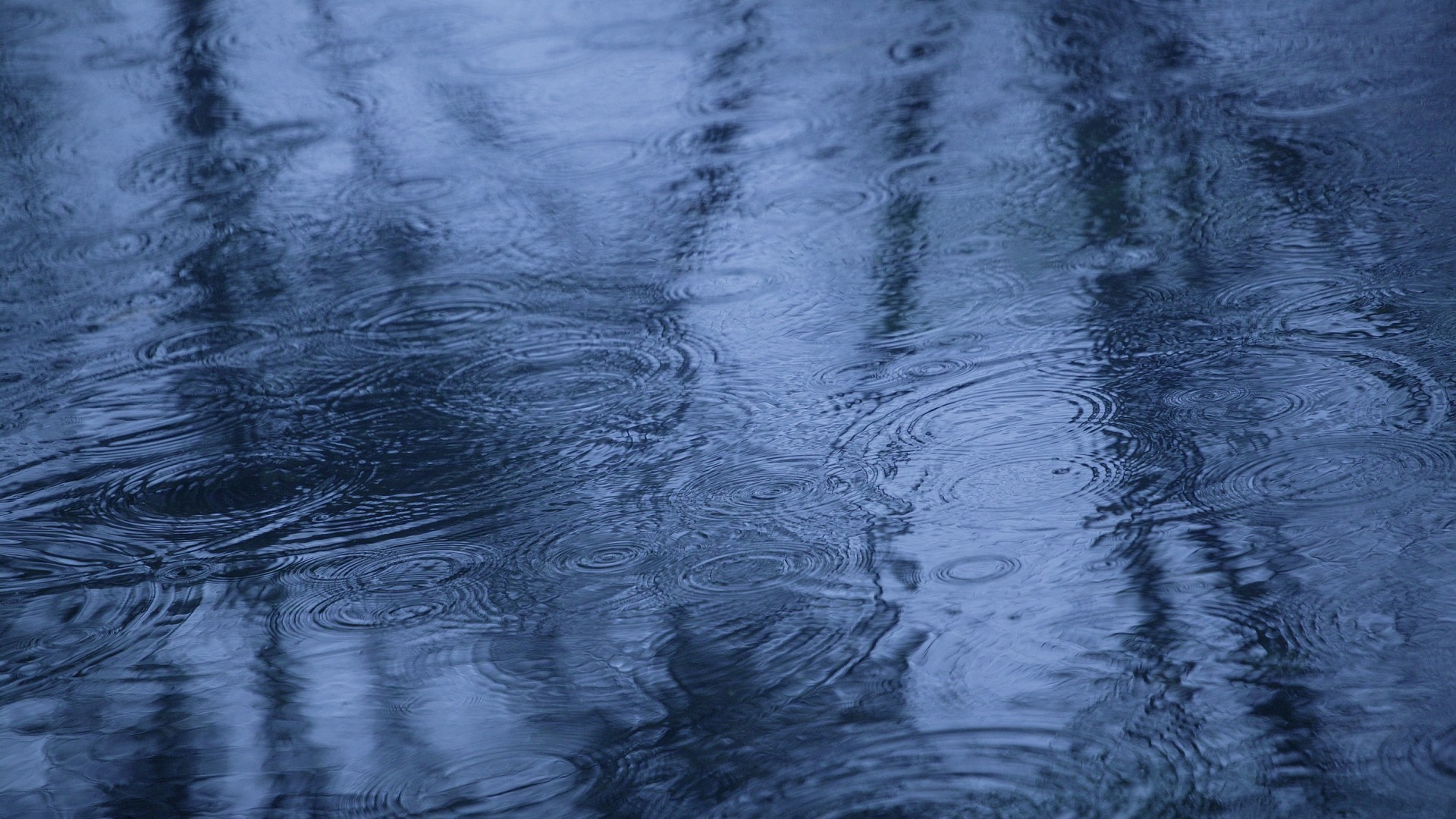 Beautiful Rain Drops Pics HD Wallpaper