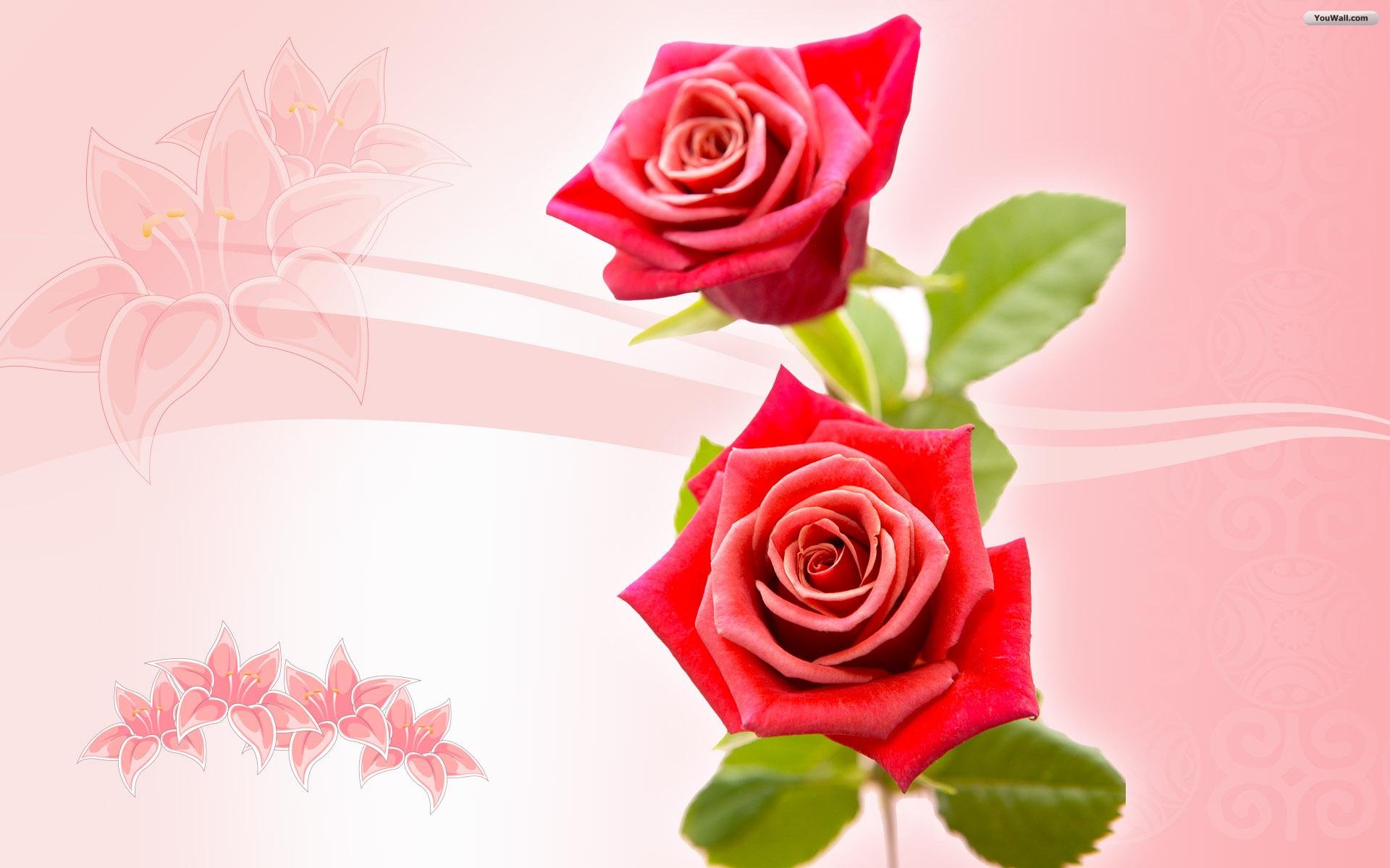 Roses Wallpaper Photo Desktop