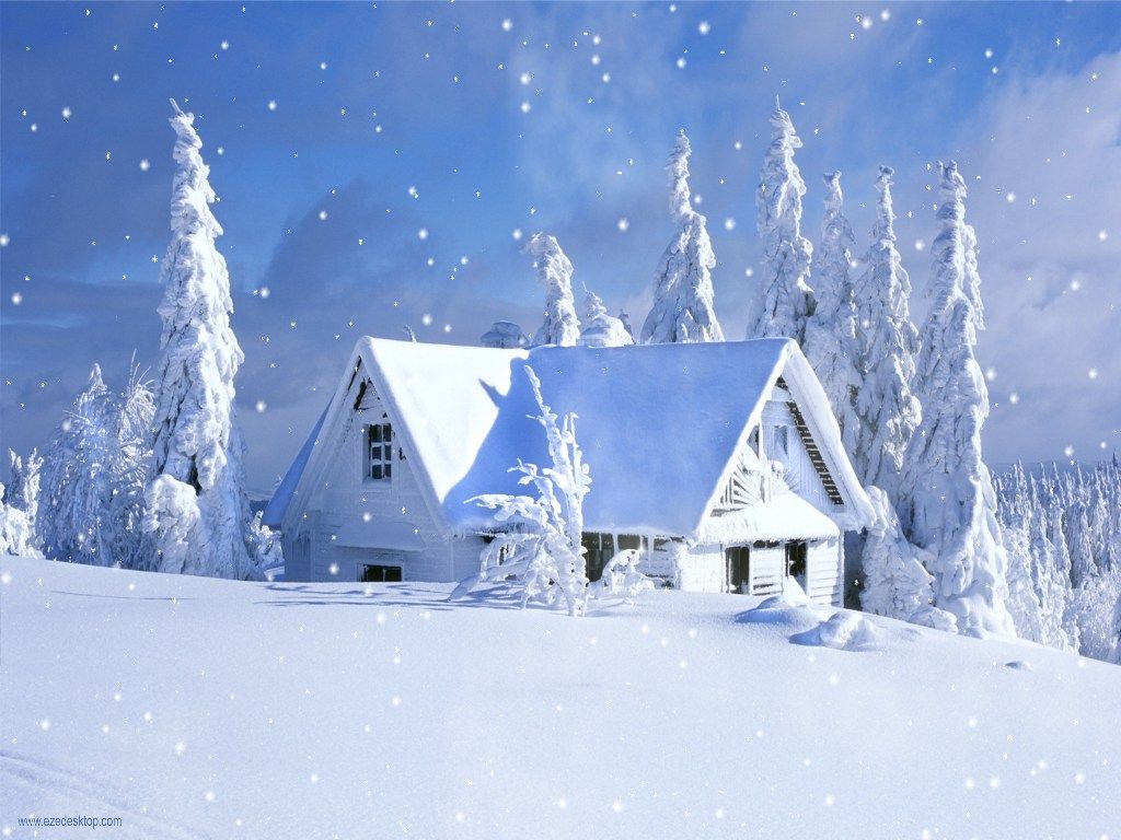 Beautiful Snow Scenes Google Search In