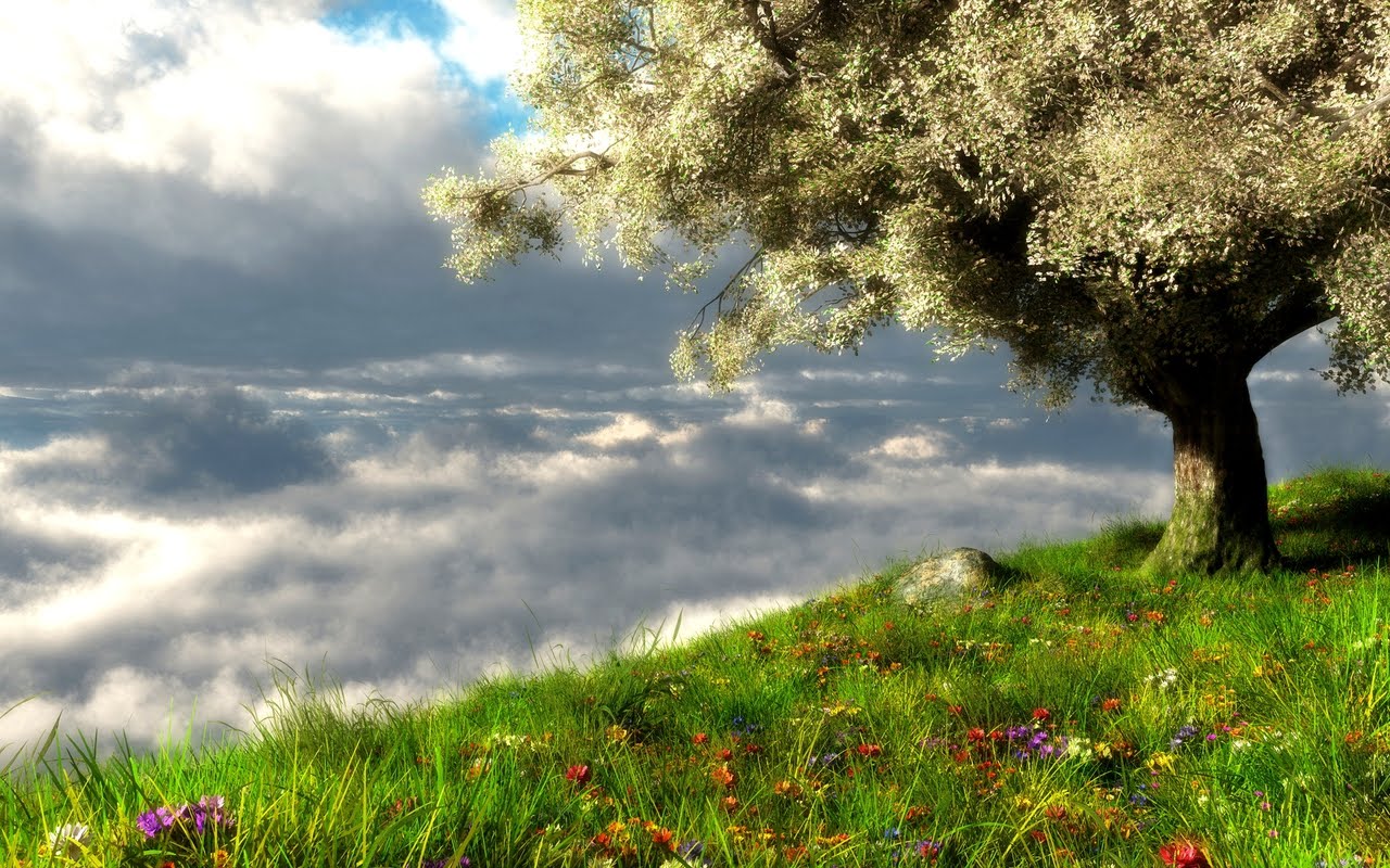 Free Pictures Of Spring Landscape Backgrounds