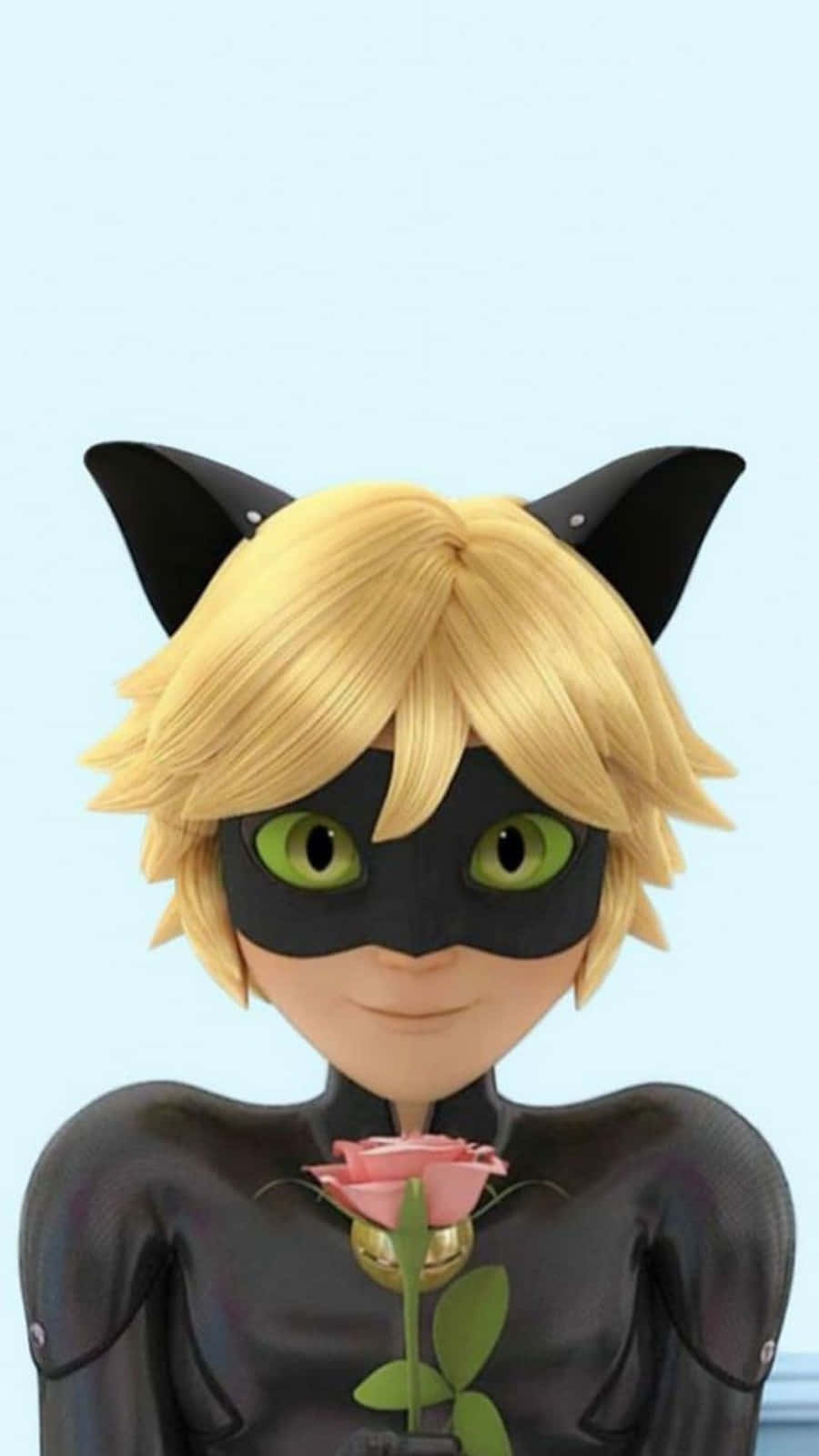 Save The Day With Cat Noir Wallpaper