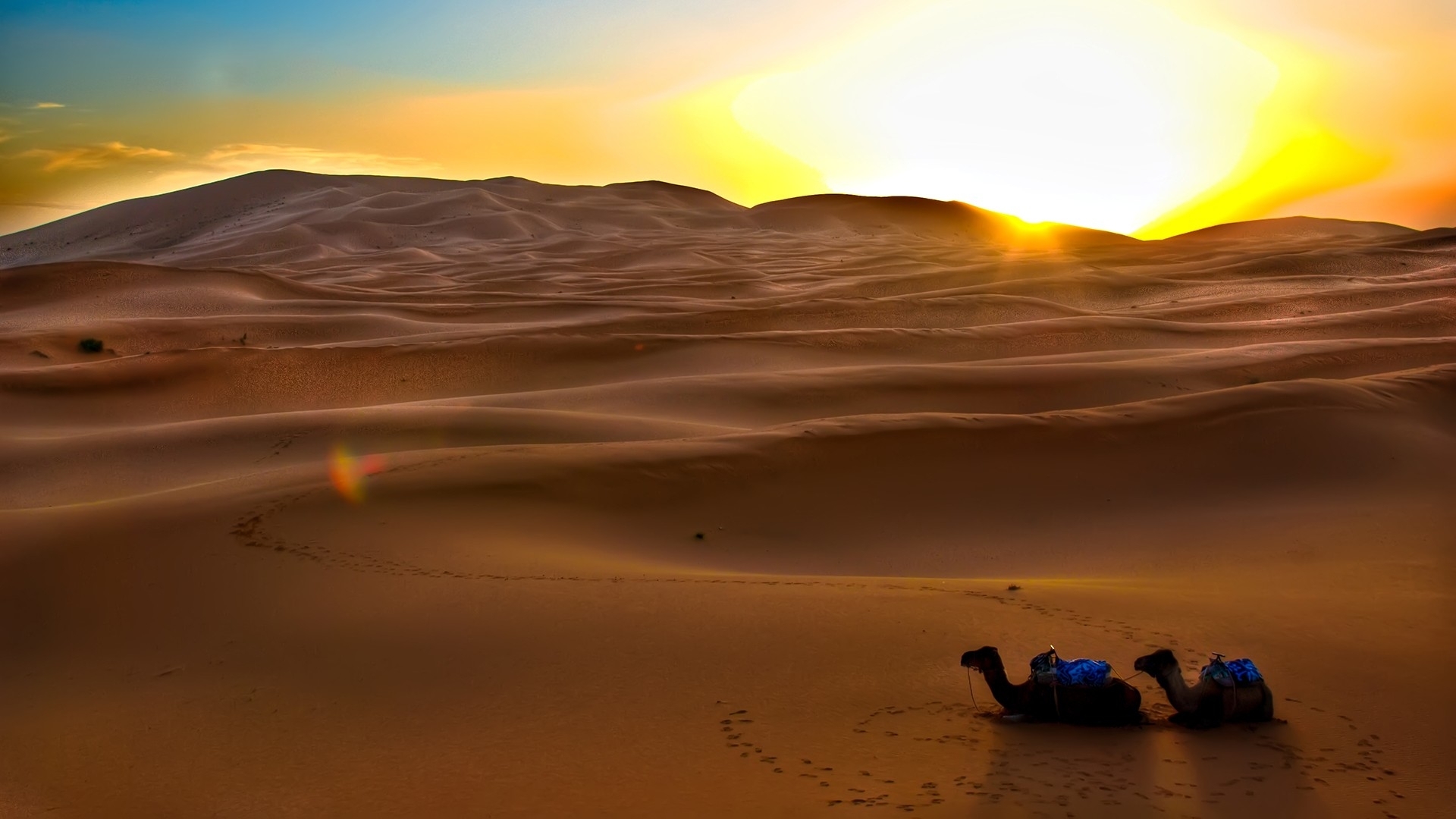 Sahara Desert Sunset Wallpaper HD
