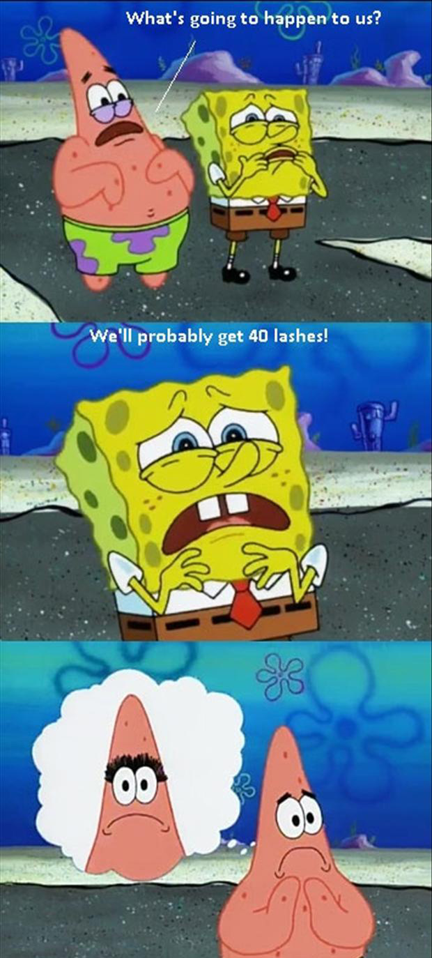 Funny Spongebob Pictures Dump A Day