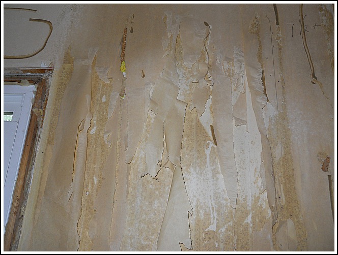 49 Wallpaper Scorer Tool Substitute On Wallpapersafari