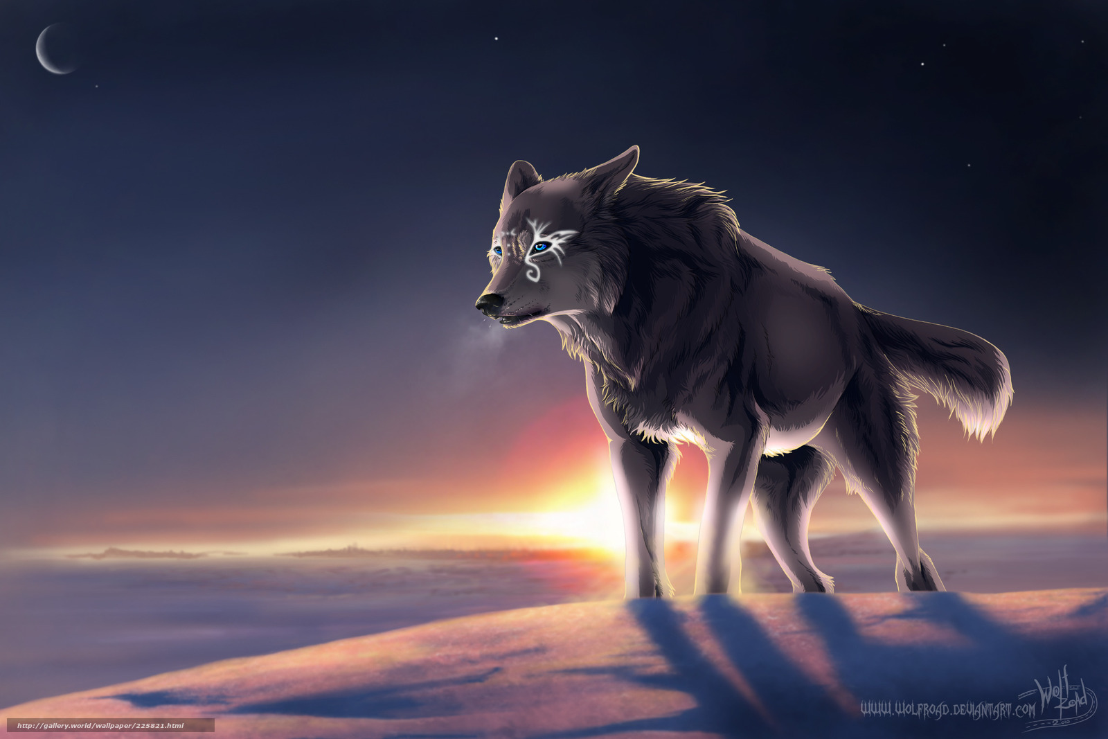 Wallpaper Winter Wolf Magic Desktop In The