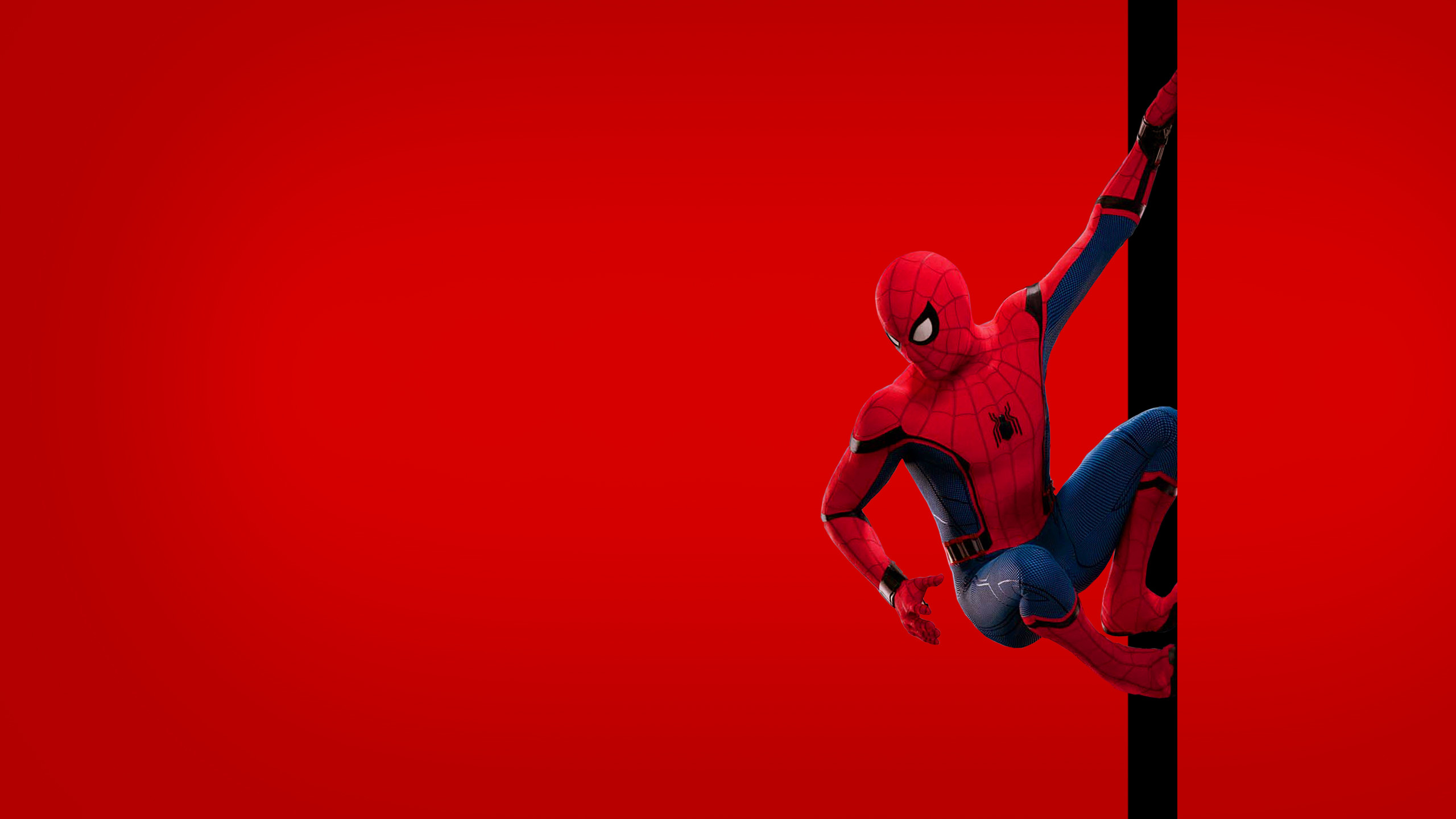 🔥 [30+] Spider Man Wallpapers WallpaperSafari