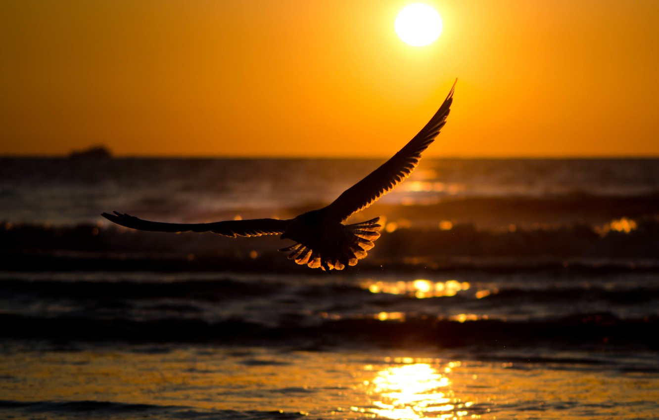 Wallpaper Sea Wave The Sky Water Sun Sunset Nature