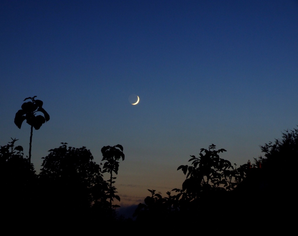 The Crescent Moon Is A Symbol Of Islam But Especially