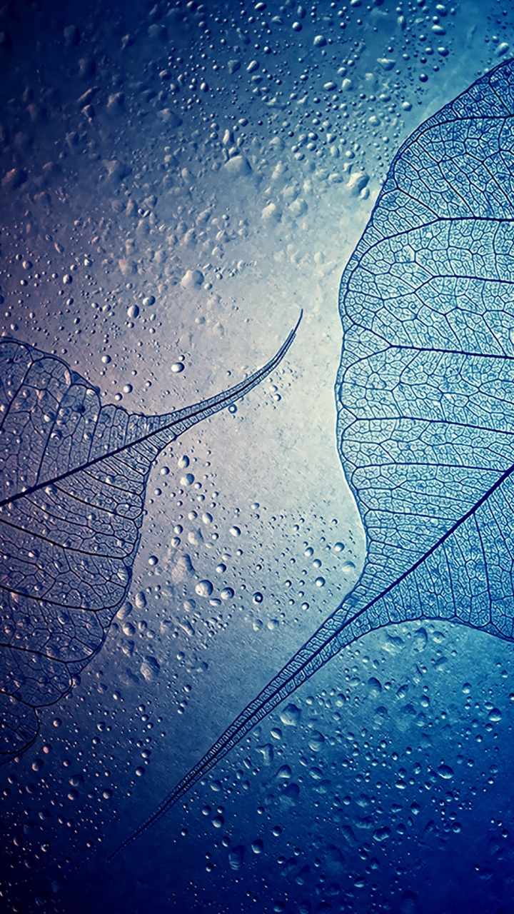 Waterdrops Samsung Galaxy A5 Wallpaper HD