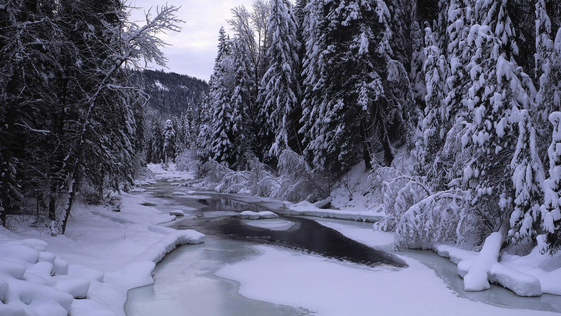 Beautiful Winter Snow Landscape Background Wide Wallpaper