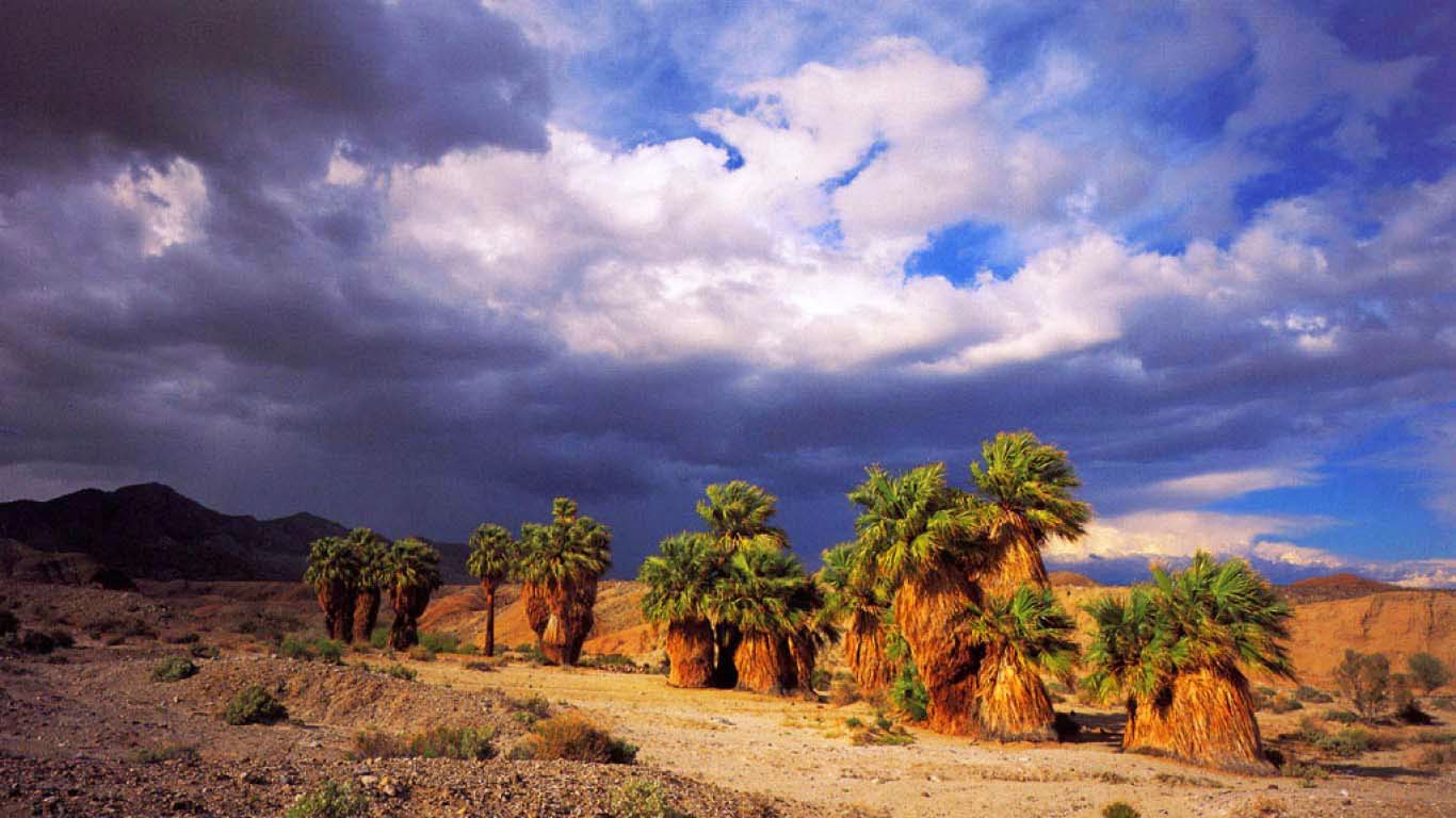 palm desert weather forecast
