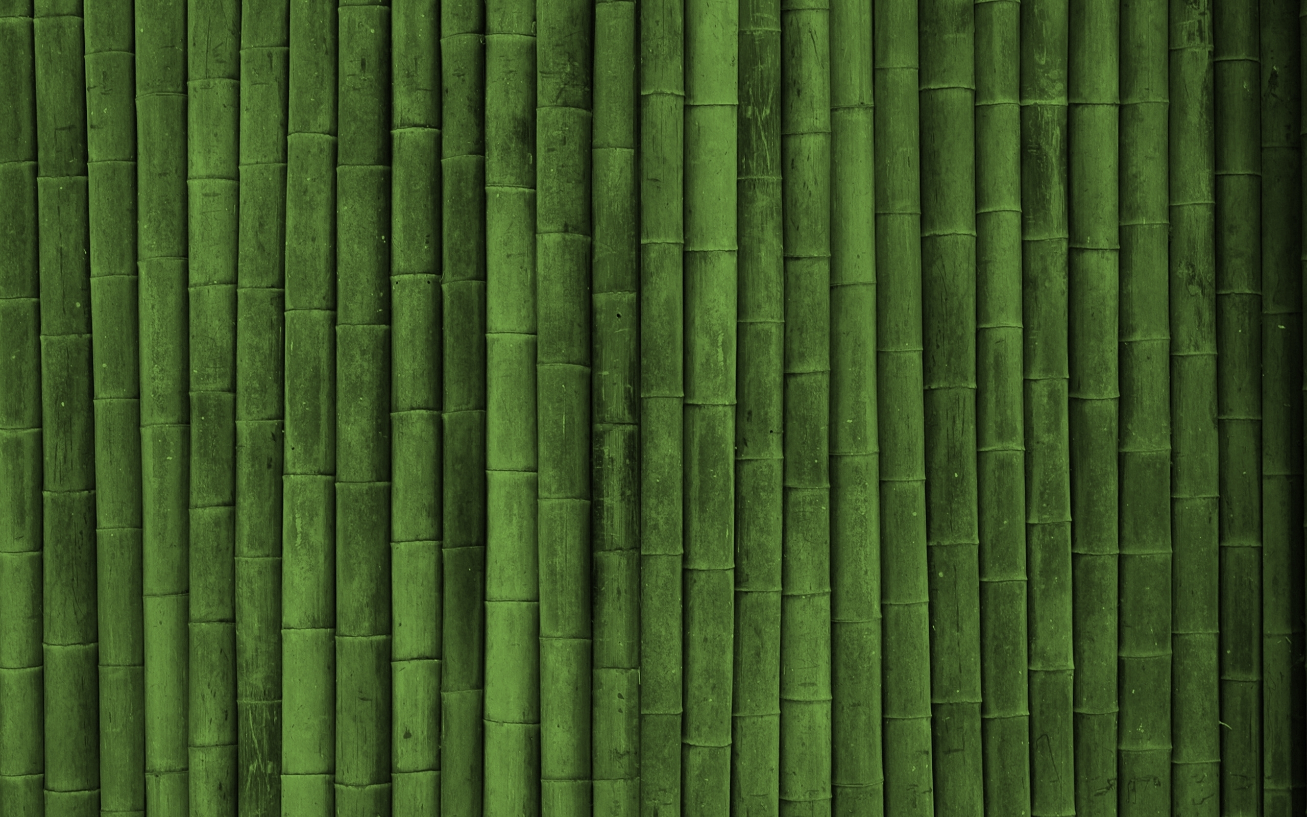 Bamboo Texture Green Style Wallpaper Full HD