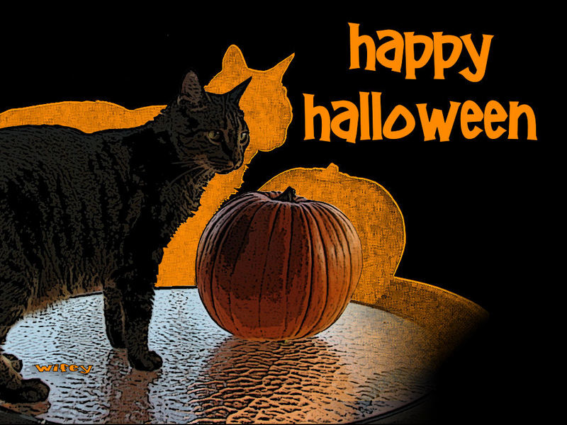 Happy Halloween Cat Countrysoldier Org Best Wallpaper