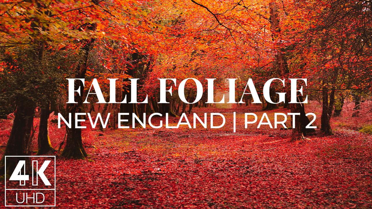 Fall Foliage In New England 4k Wallpaper Slideshow Proartinc