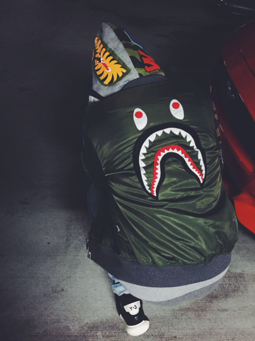 Bape Shark