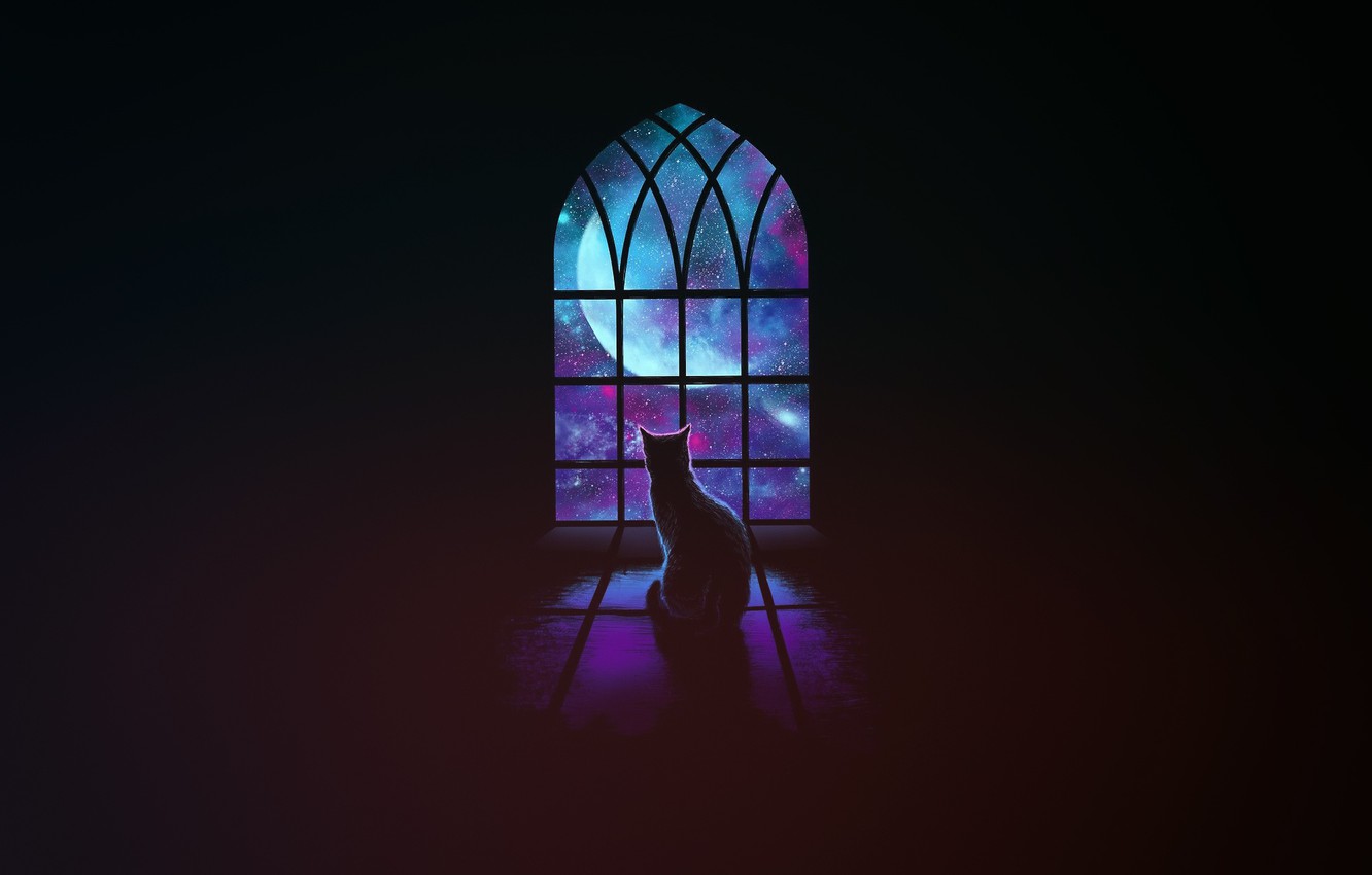 Wallpaper Minimalism Stars Cat Space Window Background
