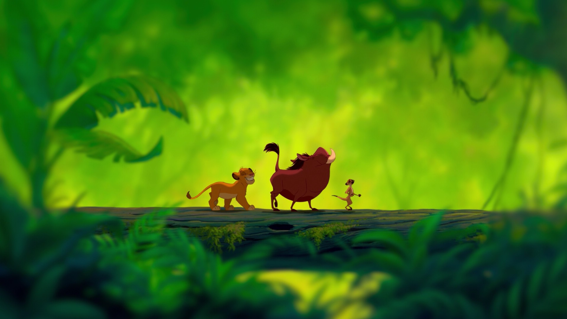 Lion King Wallpaper