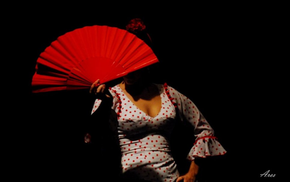Flamenco Passion Wallpaper