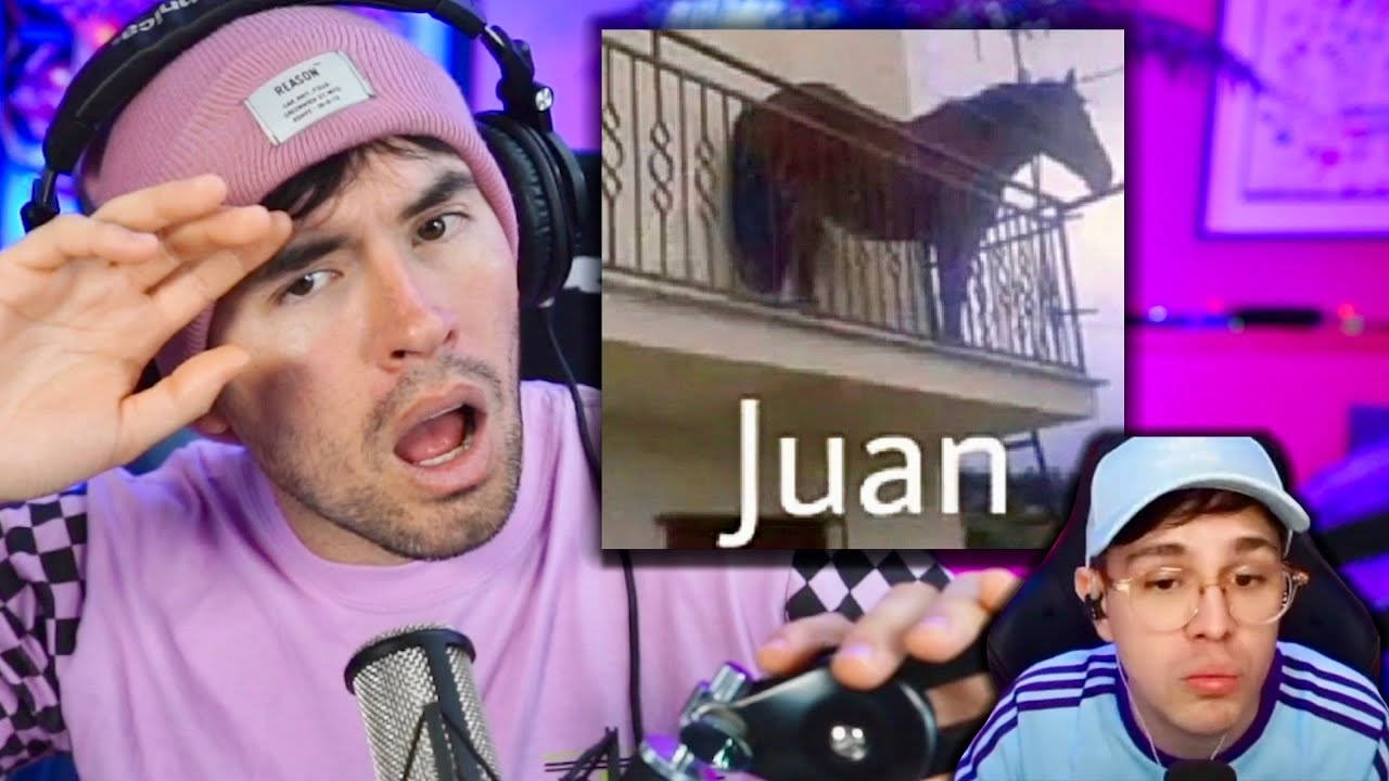 Horse On Juegagerman Thumbnail D9canqz2fznlmkdl Wallpaper