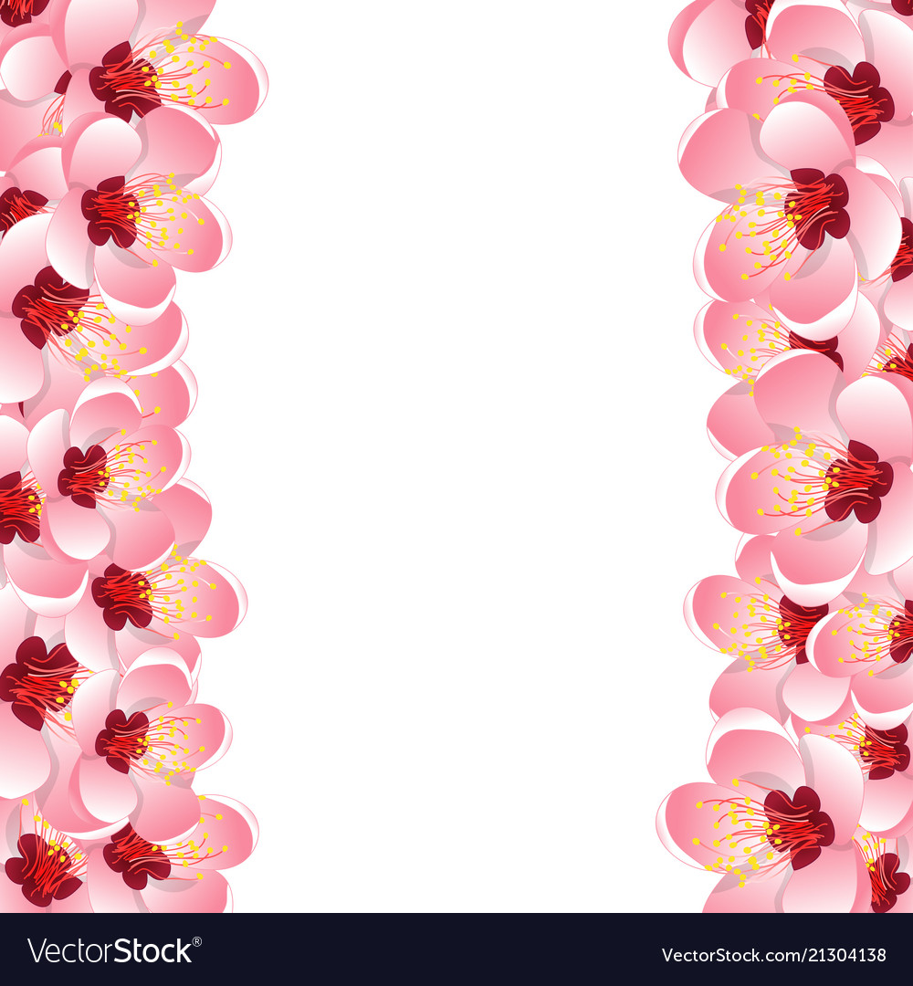 Momo peach flower blossom border background Vector Image