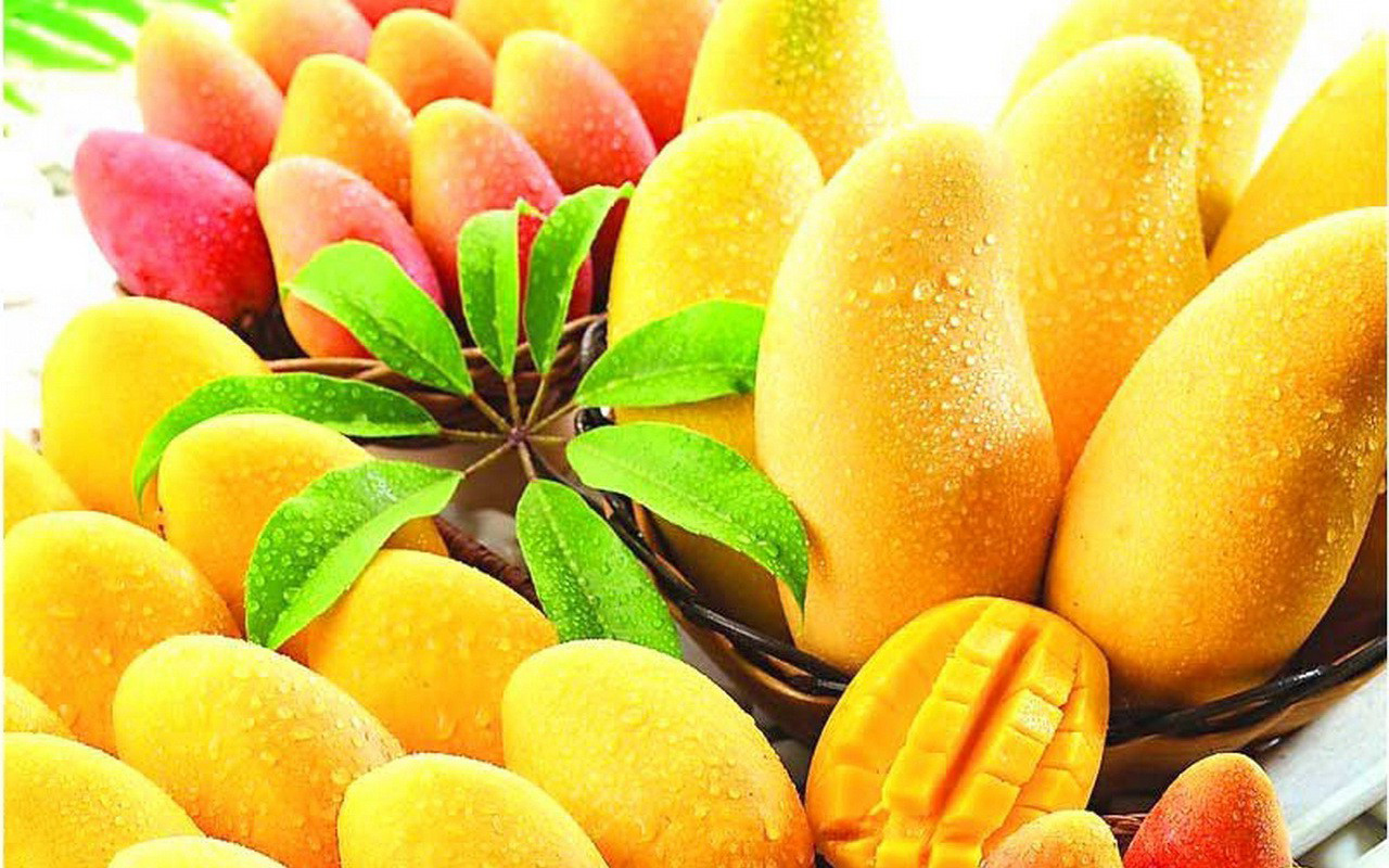 Desktop Mango Juicy Spring Wallpaper Rocks Hd