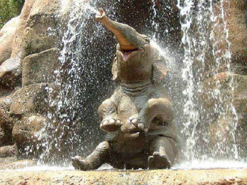 Baby Elephant In Waterfall Wallpaper S