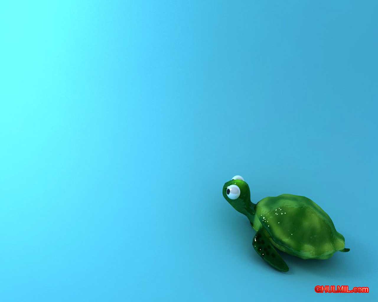 Cute Turtle Wallpaper Desktop Backgroung E Entertainment