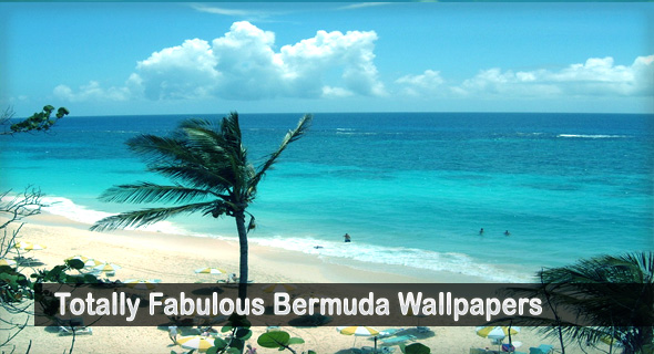Totally Fabulous Bermuda Wallpaper Travelization