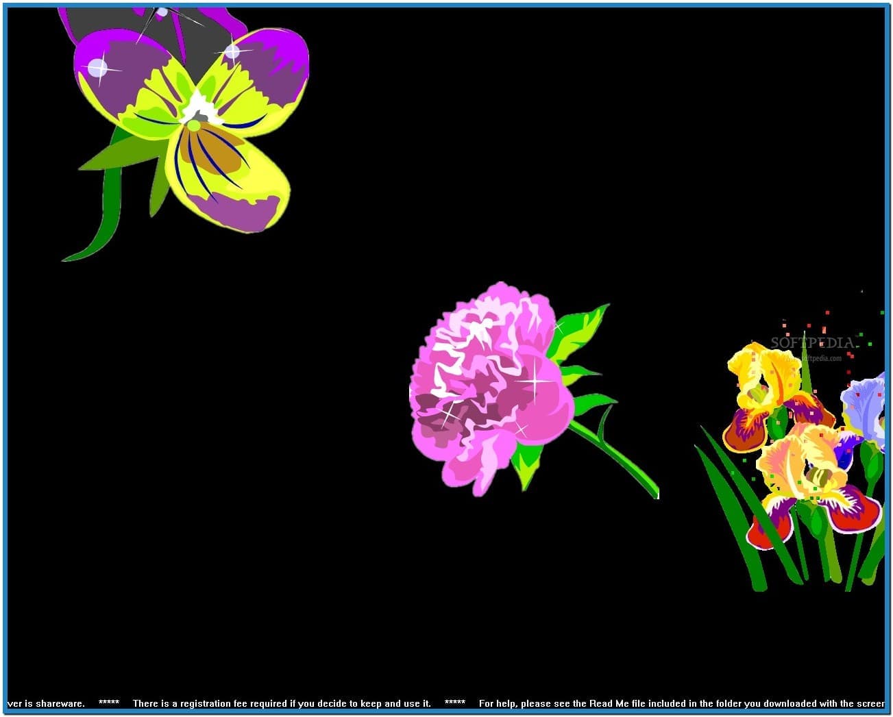 Screensaver Pictures Flowers