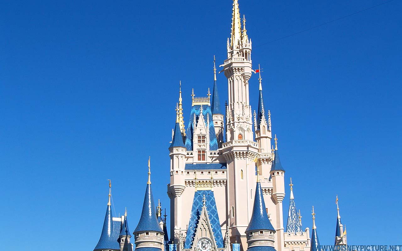 Cinderella Castle Picture