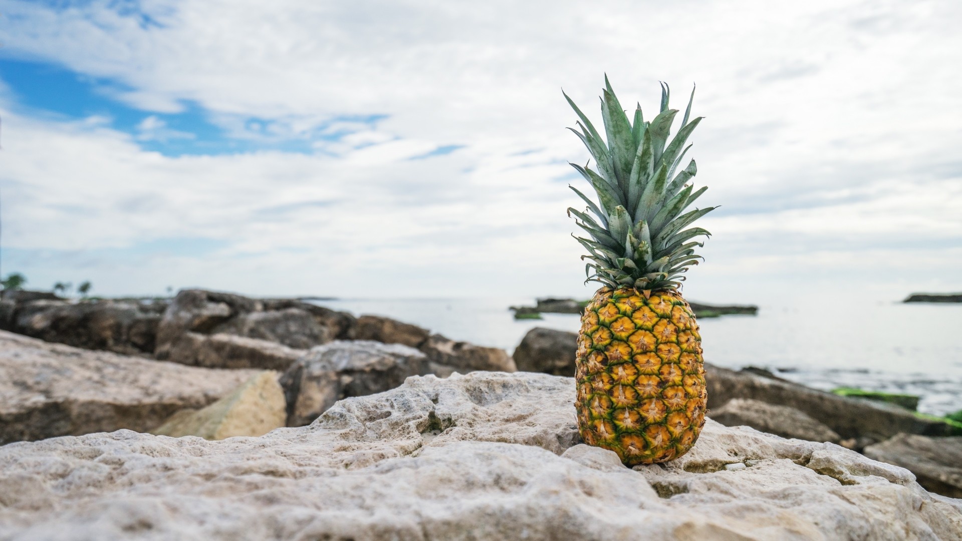 Pineapple Wallpaper