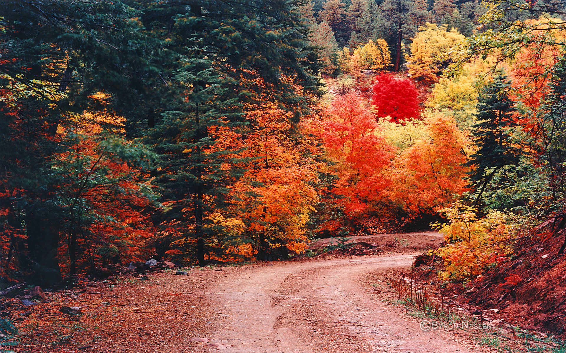Autumn Mountain Wallpaper Mountain road in autumn 1920x1200