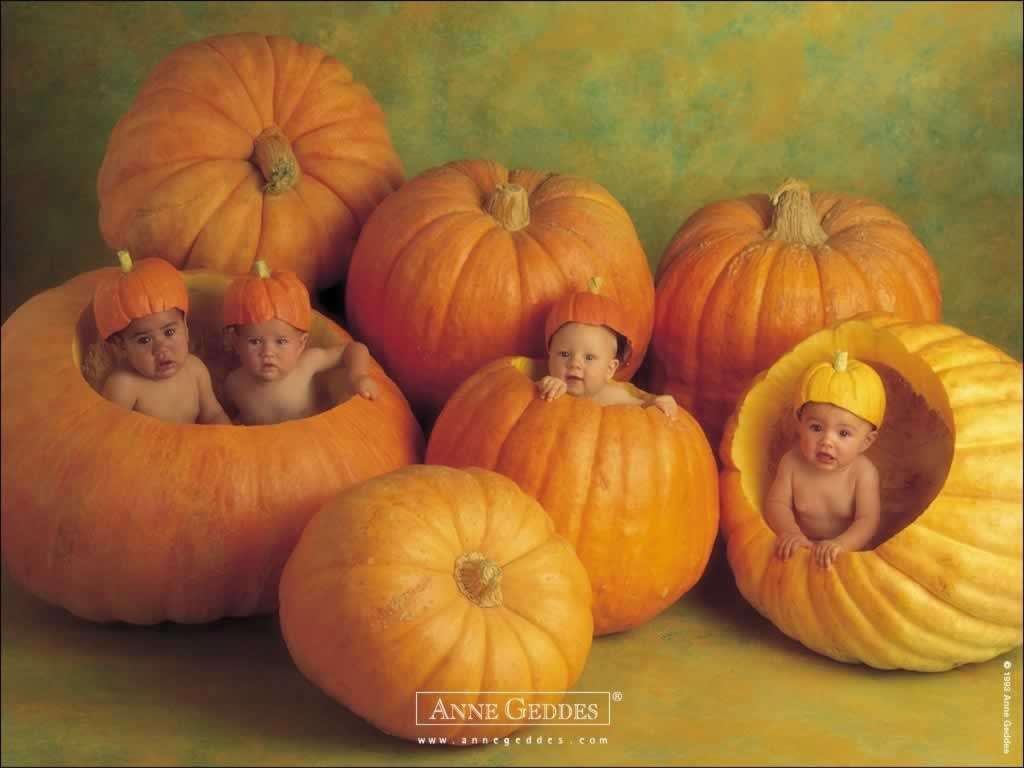 Pumpkin Wallpaper Background