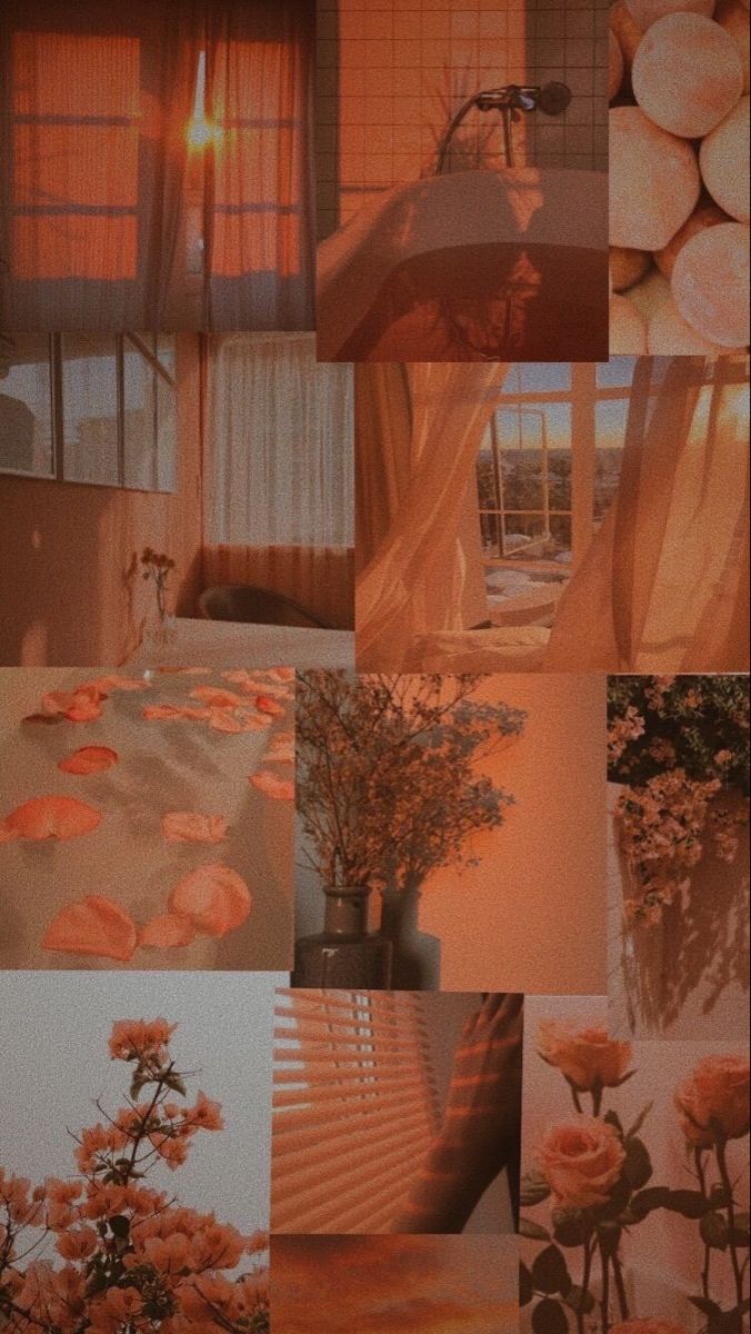 Lili On Wallpaper