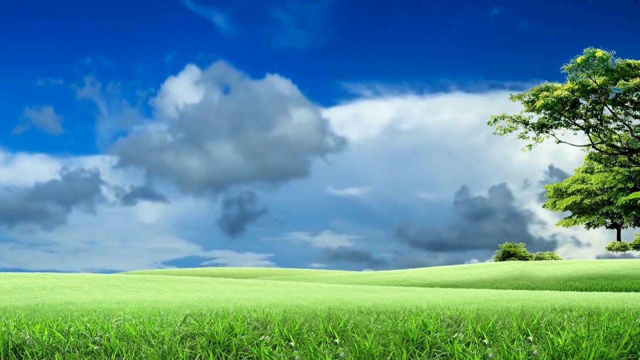 Nature Grass Field Background Video Landscape Smoke