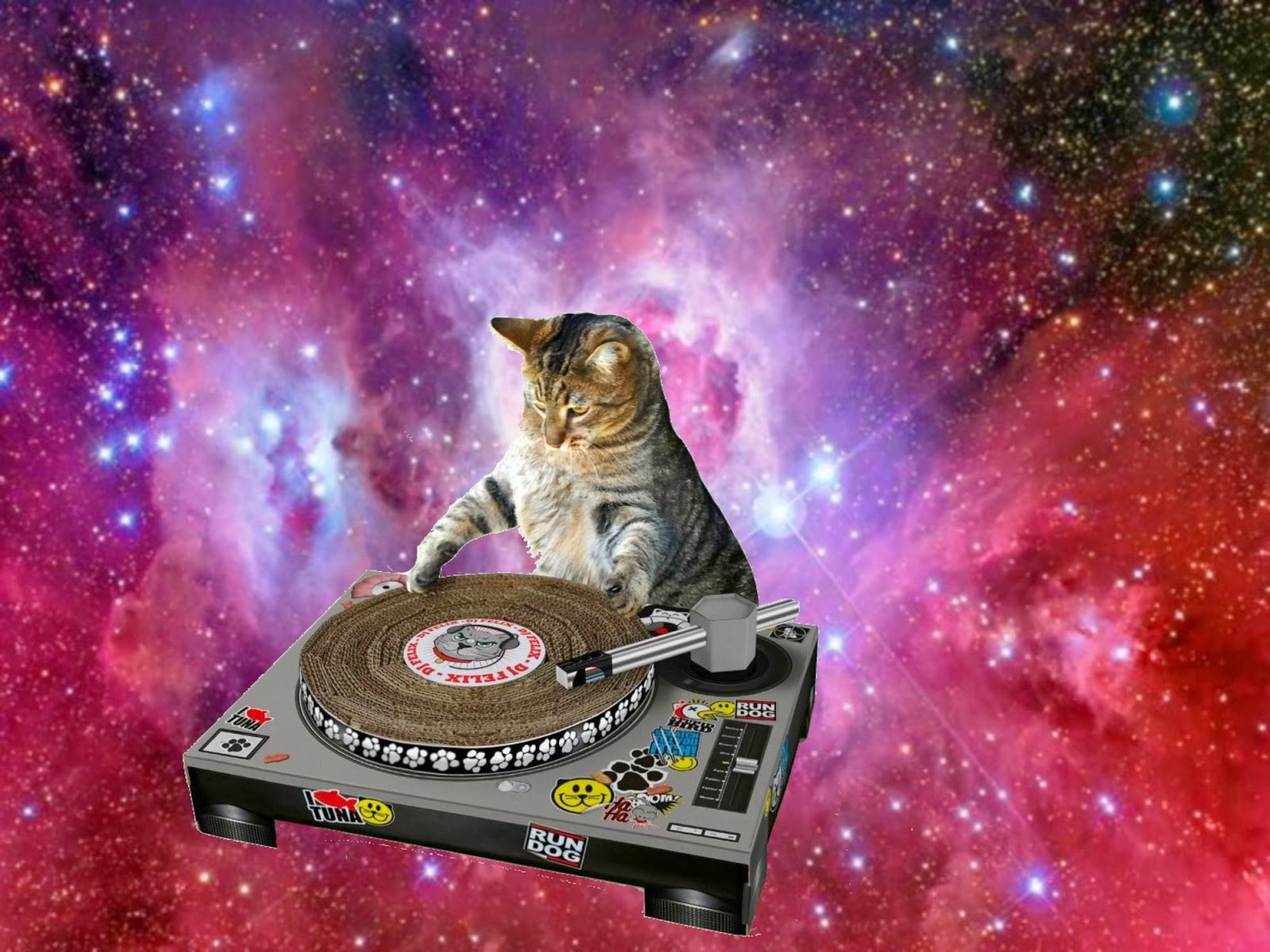 dj cat in space floating cat heads in space keyboard