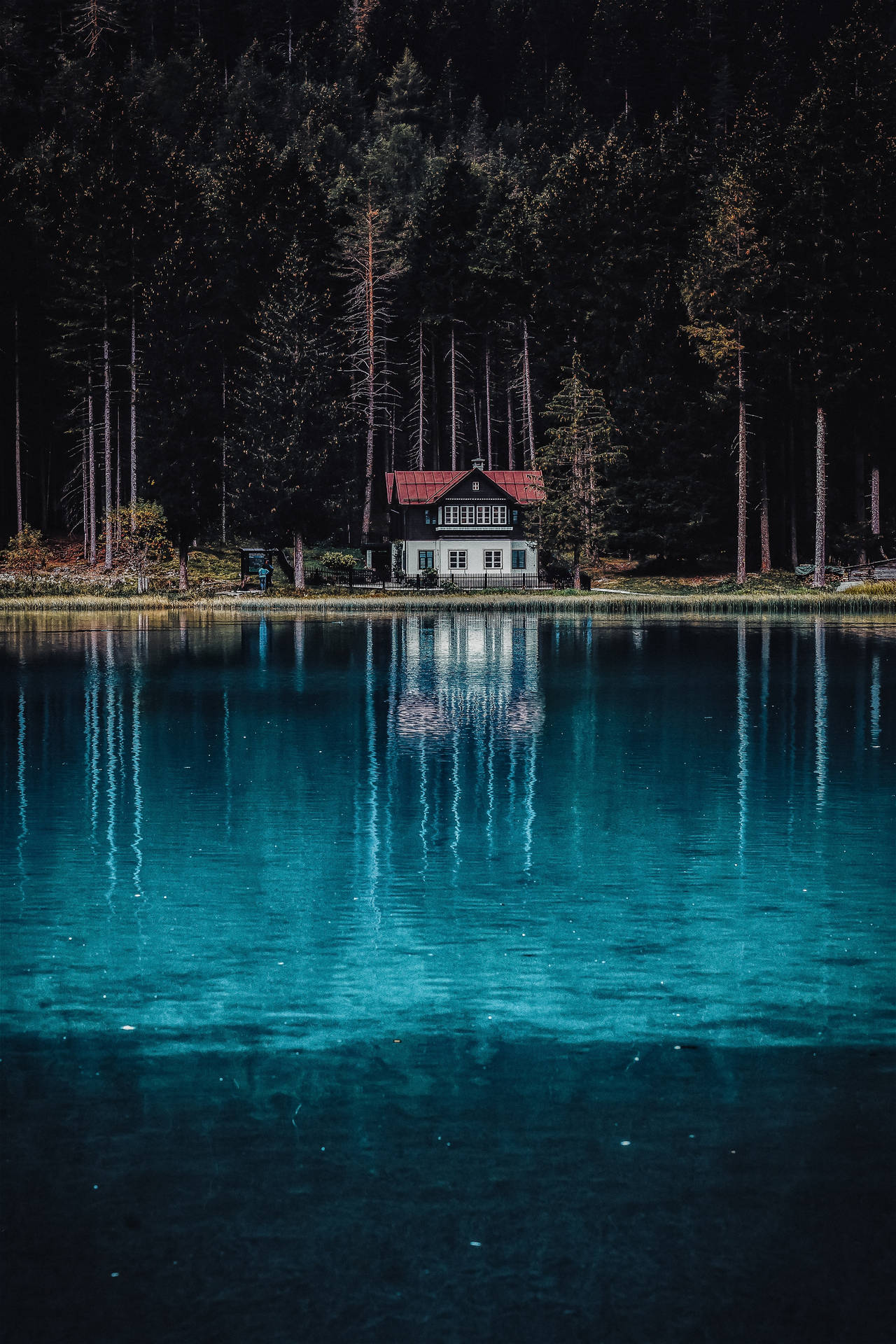 Dark Blue River Wallpaper