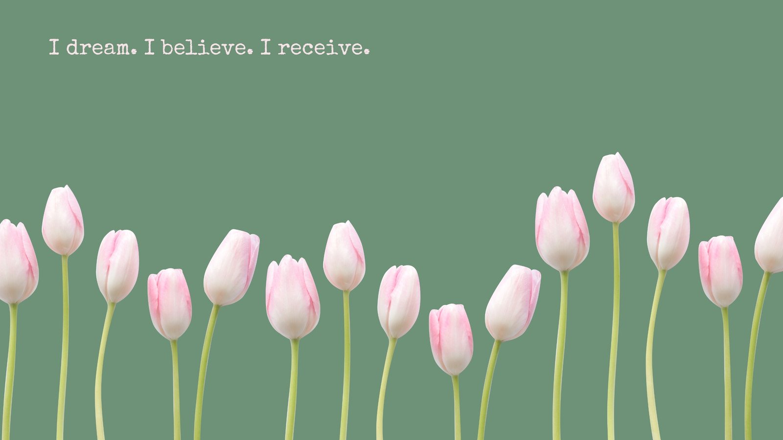 Pink tulips on a sage green background with the affirmation 'I dream. I believe. I receive.'