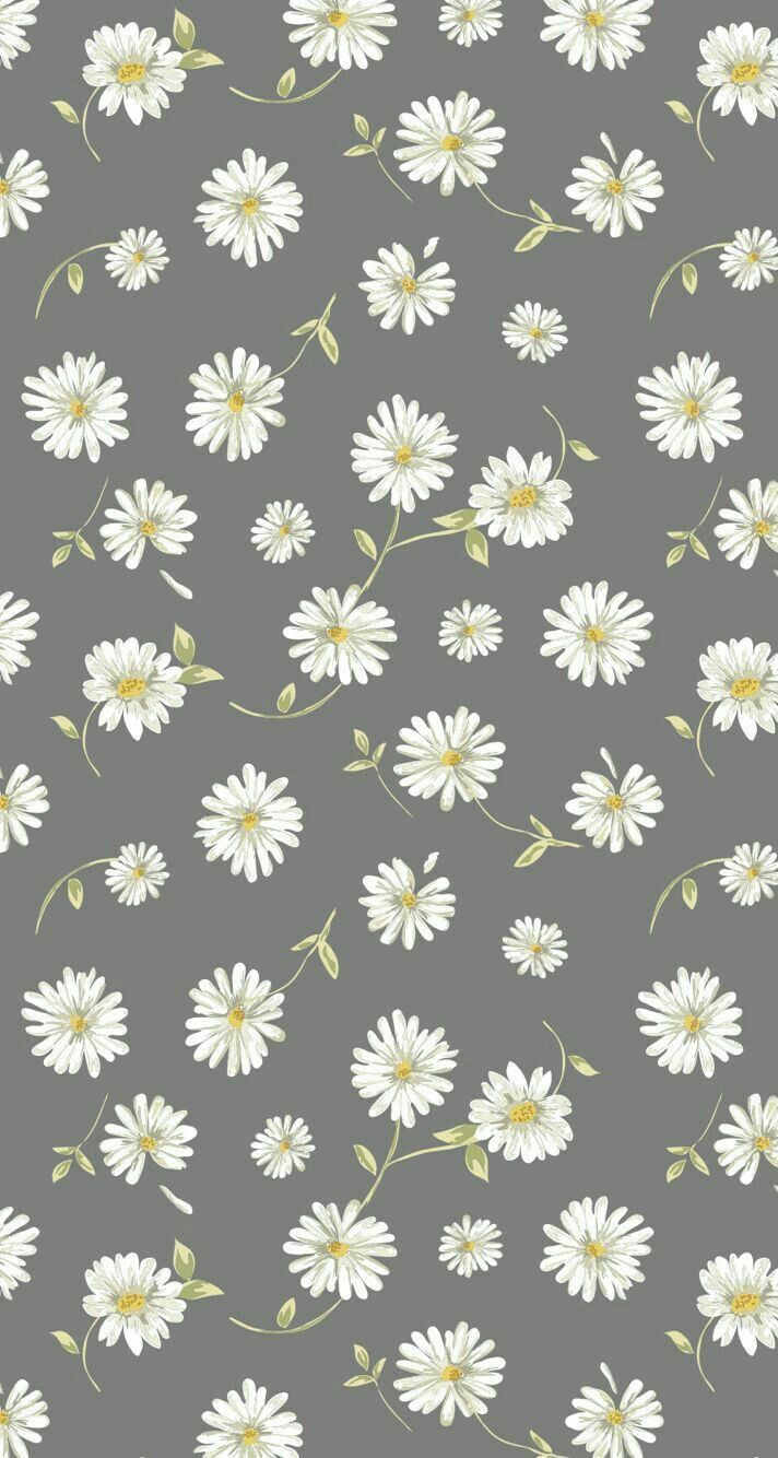 Sousou Ar On Daisy Wallpaper Simple iPhone