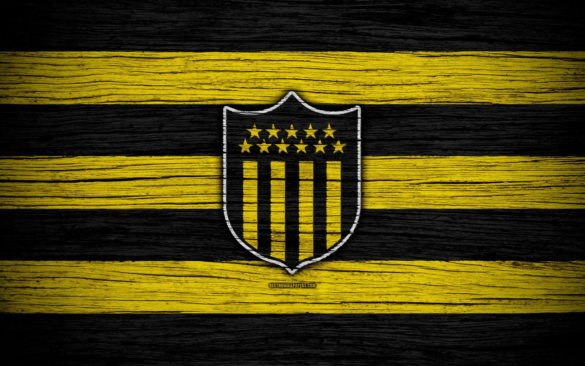 Best Pe Arol Image In Carbonera Football Diego Forlan