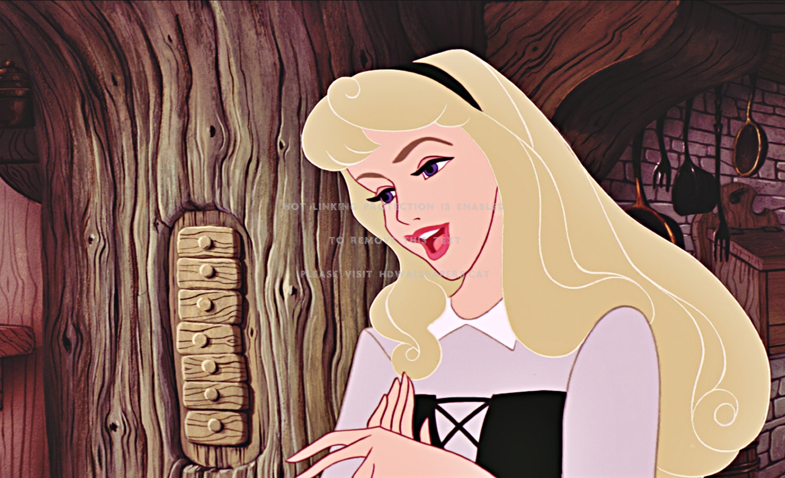 Sleeping Beauty Princess Disney Aurora Memes