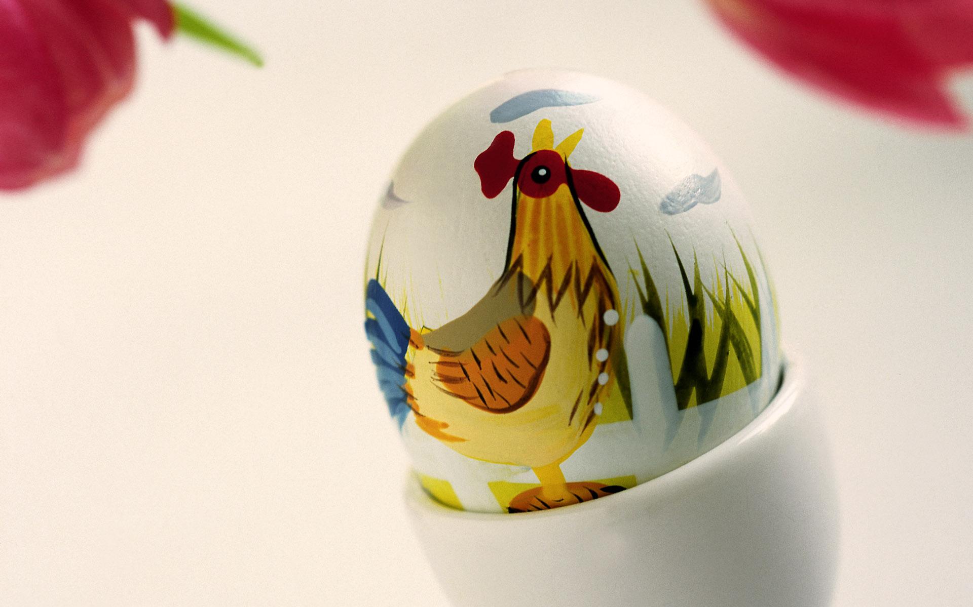 Easter Chicken Egg Desktop Pc And Mac Wallpaper