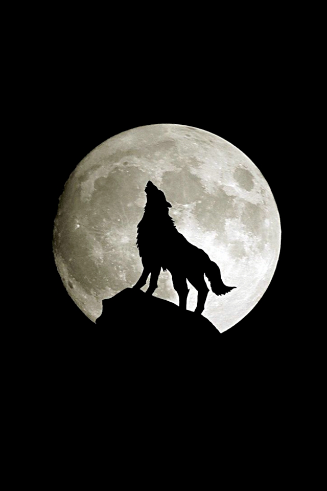 Abstract Wallpaper Wolf Full Moon With Size