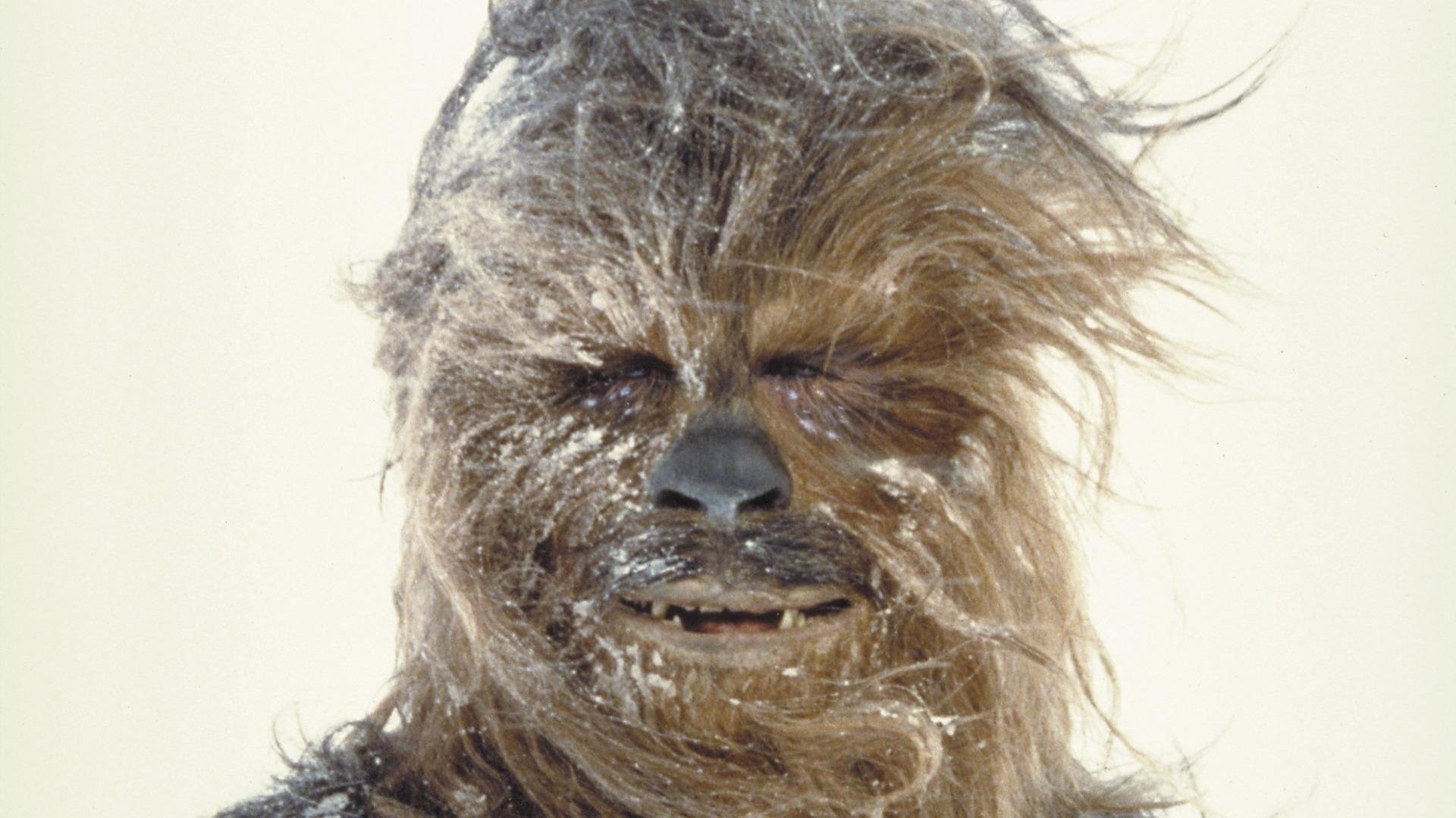 Chewbacca HD Wallpaper Background Image