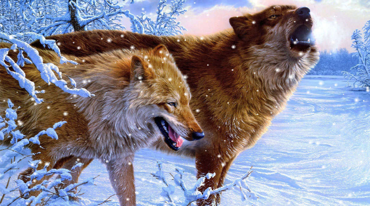 Mountain Howling Wolves Aurora Borealis Christmas Eve Lucky Rainbow