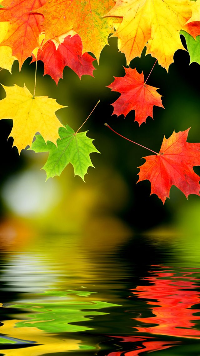 0a9404f7a03c3b2e377313455556d724 Fall Wallpaper Beautiful