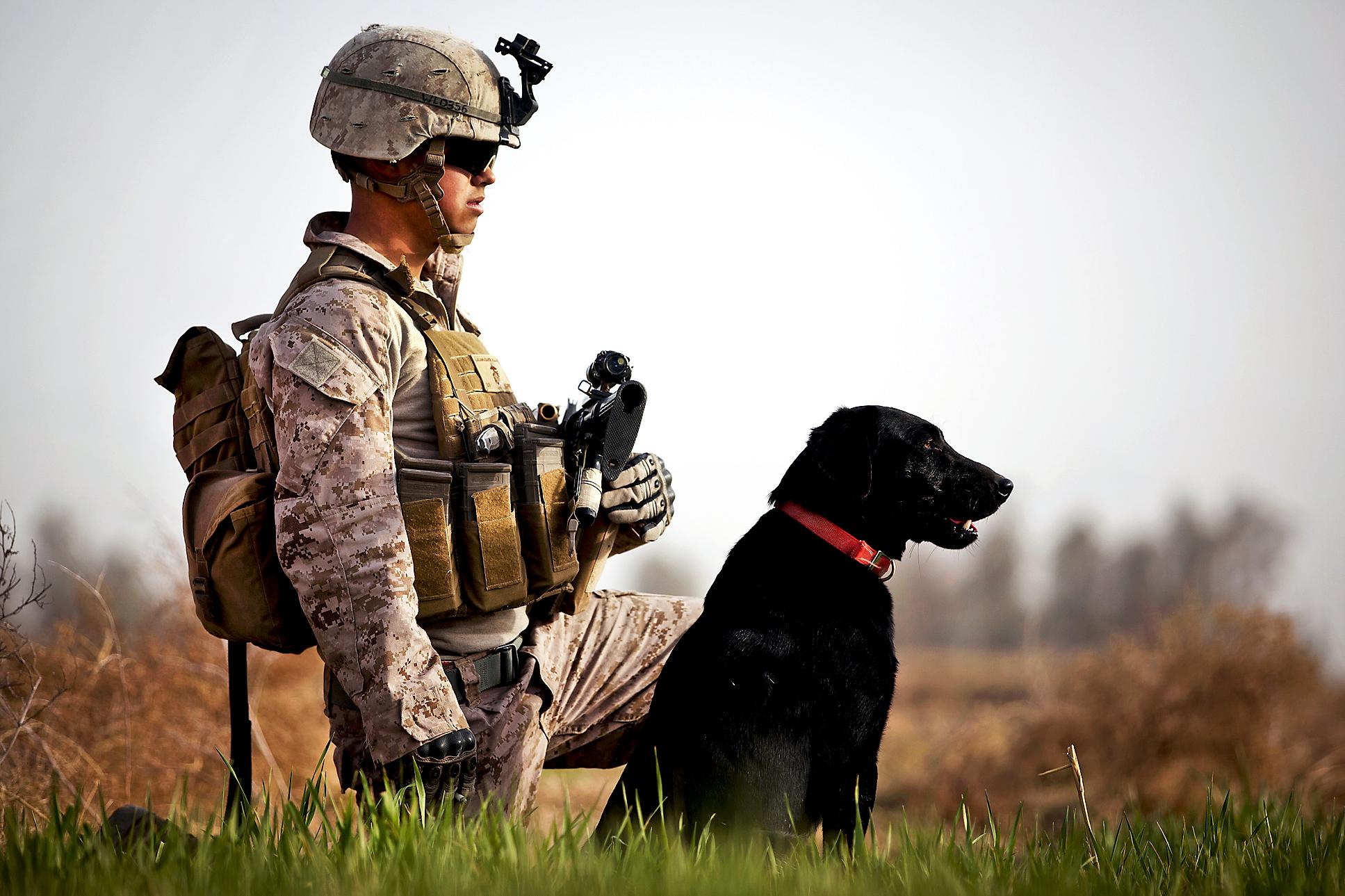 Corporal And Coot