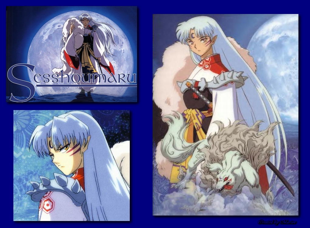 Displaying 18 Gallery Images For Lord Sesshomaru Wallpaper
