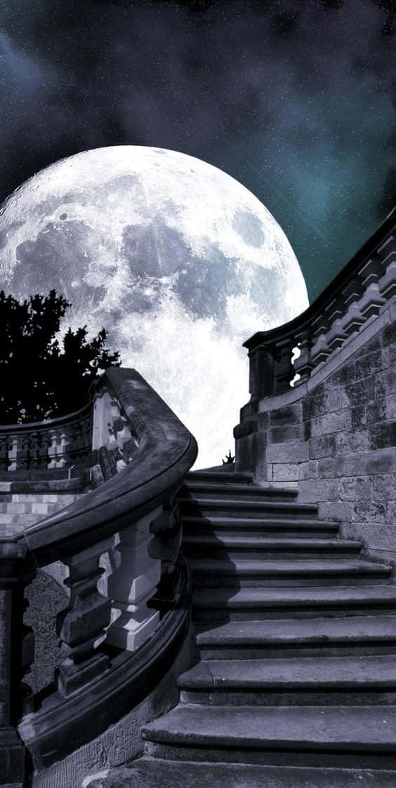 Vampire Aesthetic Wallpaper