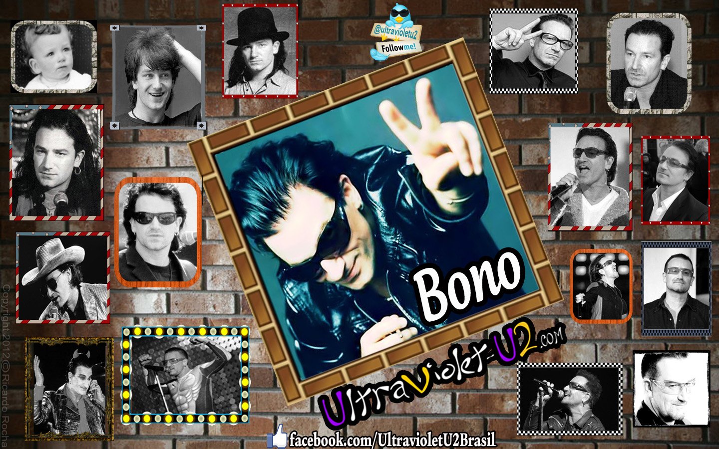 Happy Birthday Bono   Page 2   All About U2   Zootopia Community